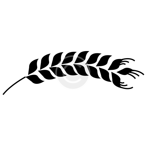 cropped-favicon_1.png