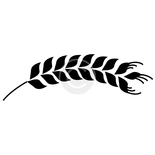 favicon_1.png